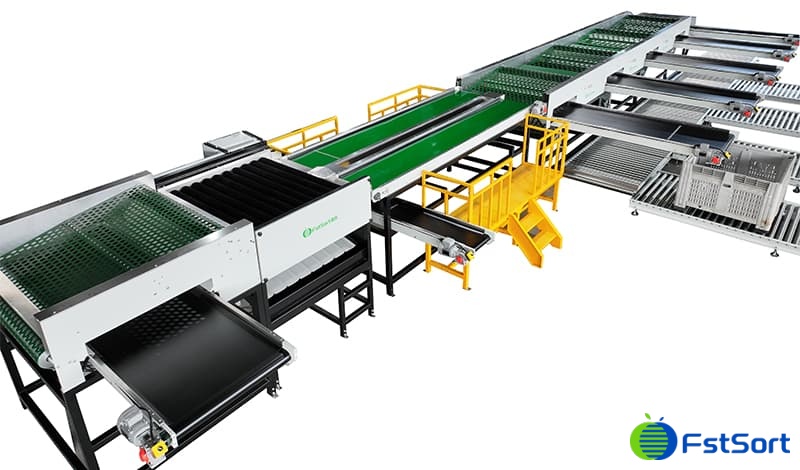 onion sorting grading machine.jpg onion sorting grading machine.jpg